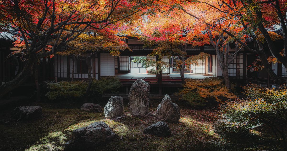 Kyoto Autumn Leaves 2025: Best Viewing Times and Travel Tips
