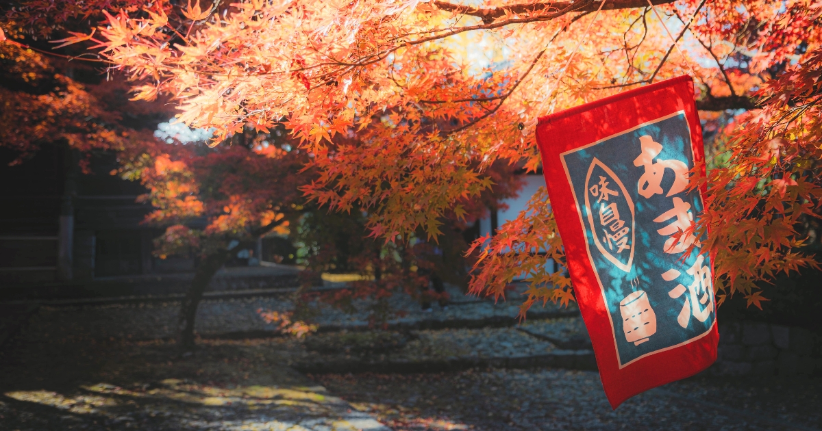 2025 Kyoto Autumn Leaves Update: Earlier Peak Than Expected — Perfect ...