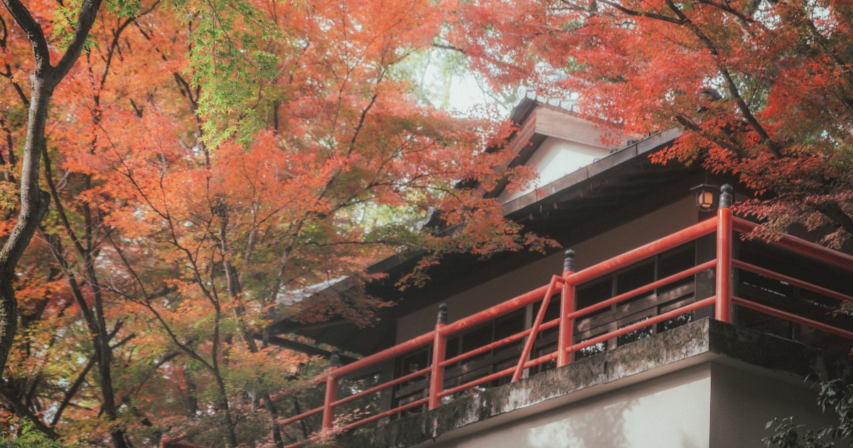 2025年11月最新版】京都の紅葉はまだ見頃！今からでも間に合う紅葉