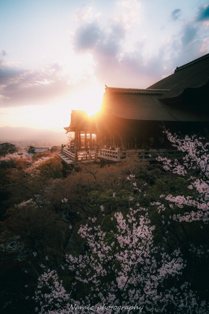 Kyoto
Cherry blossoms
Kiyomizu temple