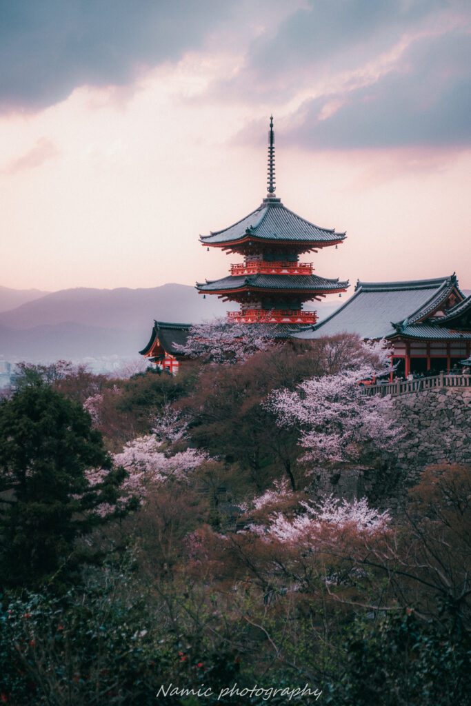 Kyoto
Cherry blossoms
Kiyomizu temple