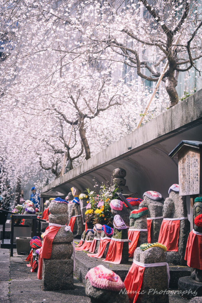 Kyoto
Cherry Blossoms
Rokkakudo